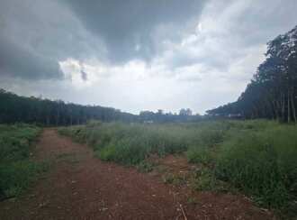 Residential Land for Sale in Ernakulam, Chottanikkara, Thiruvaniyoor, Near global public school and refinary school