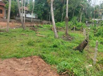 Residential Land for Sale in Trivandrum, Chirayinkeezhu, Chirayinkeezhu, Sree Chithira School Road, Chirayinkeezhu,