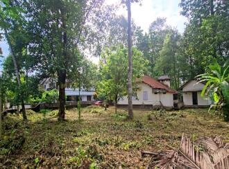 Residential Land for Sale in Idukki, Thodupuzha, Thodupuzha town, MAVADIYIL KADAVU ROAD