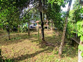 Residential Land for Sale in Idukki, Thodupuzha, Thodupuzha town, MAVADIYIL KADAVU ROAD