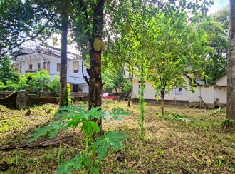 Residential Land for Sale in Idukki, Thodupuzha, Thodupuzha town, MAVADIYIL KADAVU ROAD