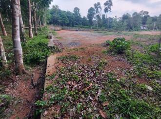 Residential Land for Sale in Kottayam, Changanassery, Kurumbanadam
