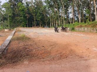 Residential Land for Sale in Kottayam, Changanassery, Kurumbanadam