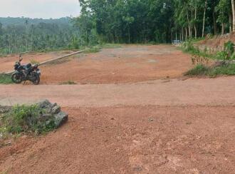 Residential Land for Sale in Kottayam, Changanassery, Kurumbanadam