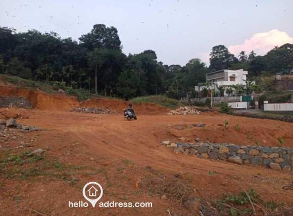 Agricultural Land for Sale