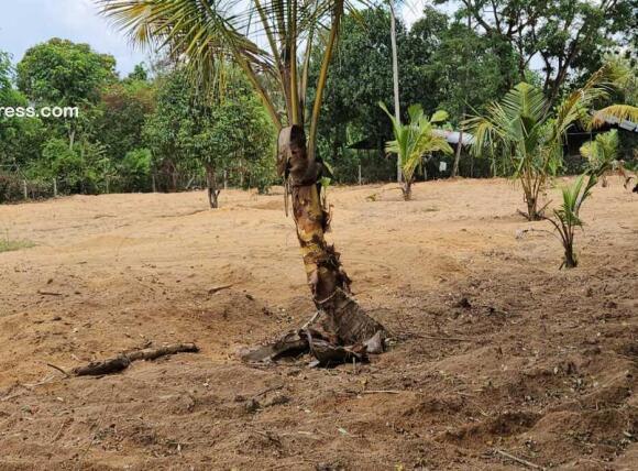 Residential Land for Sale