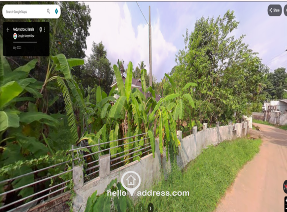 Front roadside view of the property