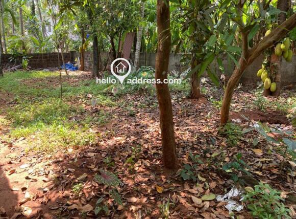 Residential Land for Sale