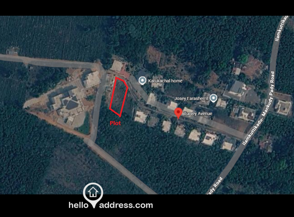 Google Map view of the plot, marked with red block. Nearby college also visible.