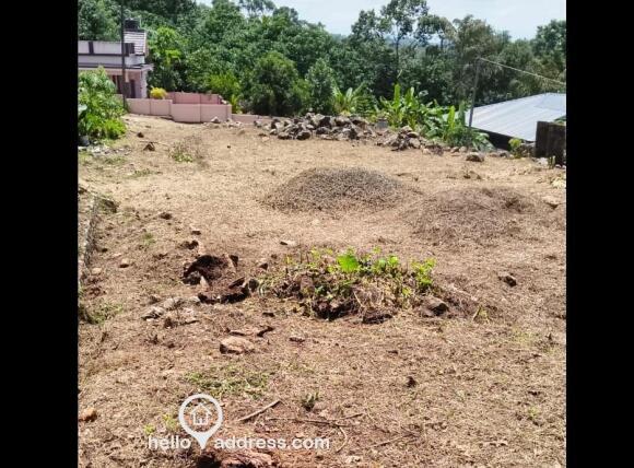 Plot View. Flat and strong terrain for building house.