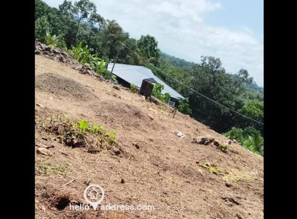Plot view