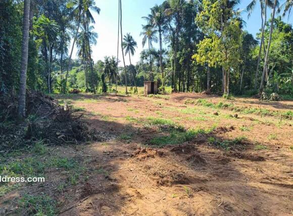Residential Land for Sale