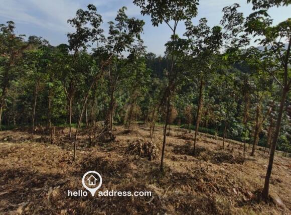 Agricultural Land for Sale