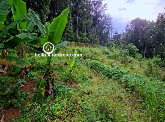 Residential Land for Sale