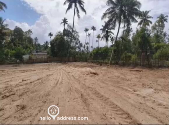 Commercial Land for Sale