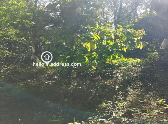 Residential Land for Sale