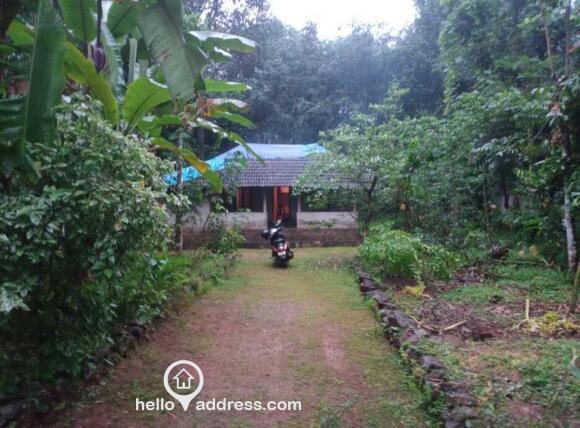 Residential Land for Sale – Ettumanoor, Kottayam Karimpangala