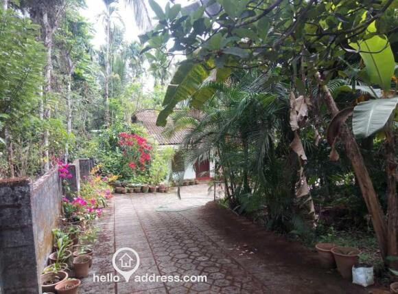 Agricultural Land for Sale