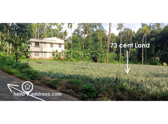 73 cent Residential Plot for sale at Vandamattom, Thodupuzha