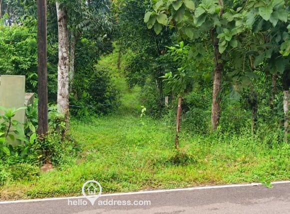 Agricultural Land for Sale
