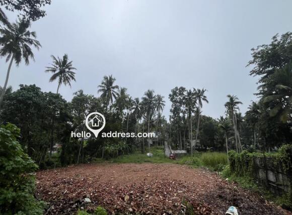 36 Cent Residential Land with Green Surroundings – Vattiyoorkavu