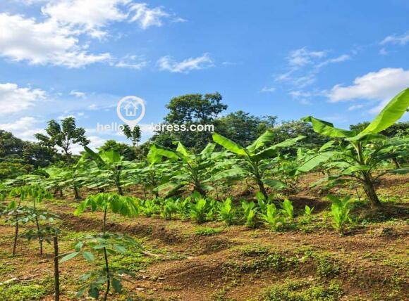 Land for agricultural activities