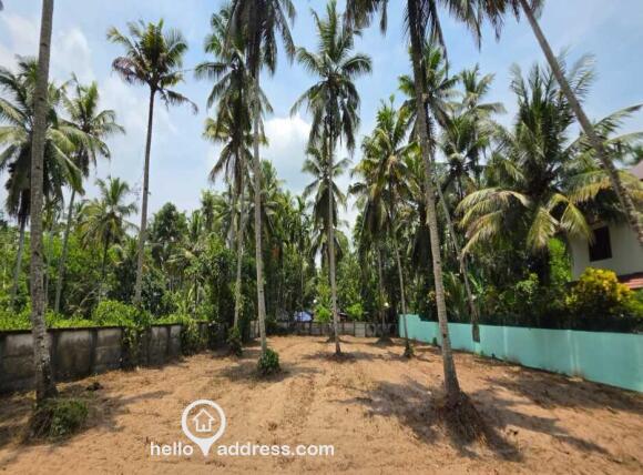 18 cent Residancial plot for sale at Kayamkulam