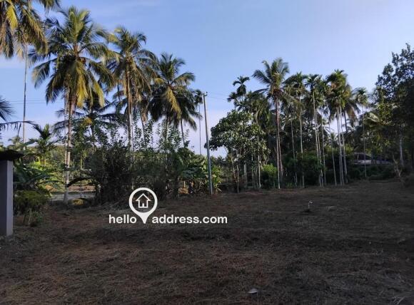 വാസയോഗ്യമായ ഭൂമി വില്പനയ്ക്ക് 