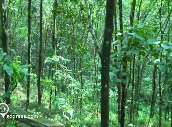 Residential Land for Sale