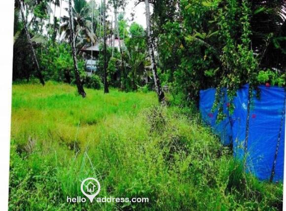 Agricultural Land for Sale