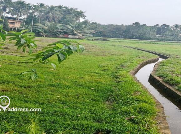 Agricultural Land for Sale