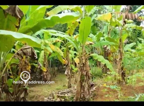 Residential Land for Sale