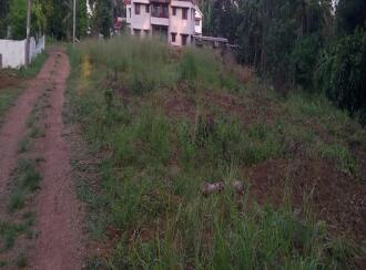 Residential Land for Sale in Kottayam, Kottayam town, Vadavathoor, vadavathoor