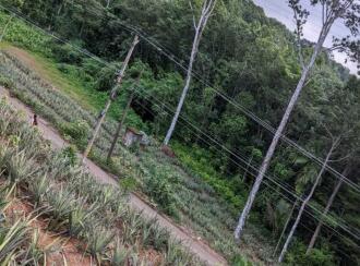 Residential Land for Sale in Kottayam, Pampady, Kothala