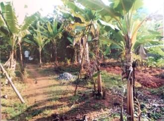 Residential Land for Sale in Trivandrum, Thiruvananthapuram, Vattiyoorkavu, Near Karimankulam Temple