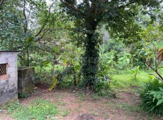 Residential Land for Sale in Trivandrum, Thiruvananthapuram, Vattiyoorkavu, Near Karimankulam Temple