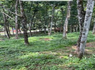 Agricultural Land for SalePathanamthitta, Konni, Konnapara