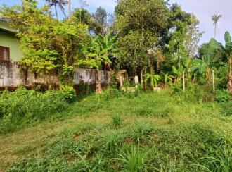 വാസയോഗ്യമായ ഭൂമി വില്പനയ്ക്ക് Thrissur, Irinjalakuda, Irinjalakuda
