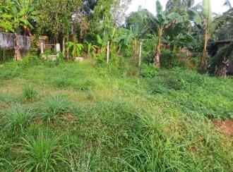 വാസയോഗ്യമായ ഭൂമി വില്പനയ്ക്ക് Thrissur, Irinjalakuda, Irinjalakuda