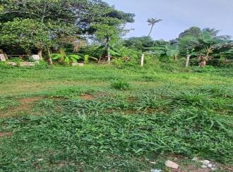 വാസയോഗ്യമായ ഭൂമി വില്പനയ്ക്ക് Thrissur, Irinjalakuda, Irinjalakuda