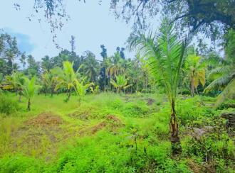 Commercial Land for Sale in Alleppey, Alappuzha, Thathampally