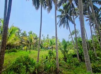 Commercial Land for Sale in Alleppey, Alappuzha, Thathampally