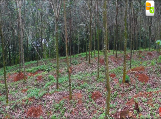 Residential Land for Sale in Pathanamthitta, Kozhencherry, Kadamanitta