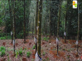 Residential Land for Sale in Pathanamthitta, Kozhencherry, Kadamanitta