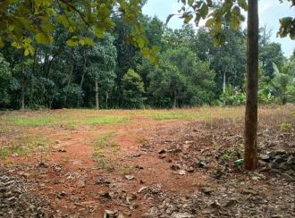 Residential Land for Sale in Kottayam, Pala, Cherpunkal
