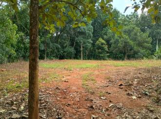 Residential Land for Sale in Kottayam, Pala, Cherpunkal