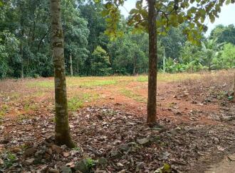 Residential Land for Sale in Kottayam, Pala, Cherpunkal