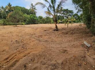 Residential Land for Sale in Trivandrum, Thiruvananthapuram, Murukkumpuzha, Murukkumpuzha