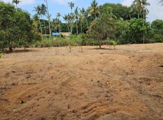 Residential Land for Sale in Trivandrum, Thiruvananthapuram, Murukkumpuzha, Murukkumpuzha