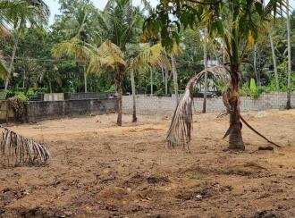 Residential Land for Sale in Trivandrum, Thiruvananthapuram, Murukkumpuzha, Murukkumpuzha